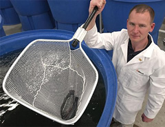 Ben Shafer, Aquaculture Research Technician