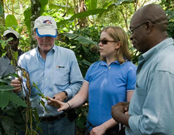 Examining Coffee Plants