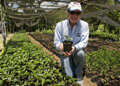 Dr. Pearse Lyons with Coffee Seedlings