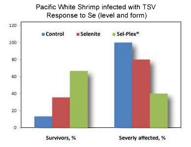 selenium shrimp disease resistance