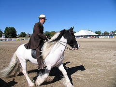 Alltech FEI World Equestrian Games