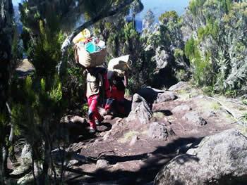 Coming down Kilimanjaro